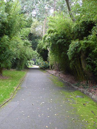 Fox Rosehill Gardens